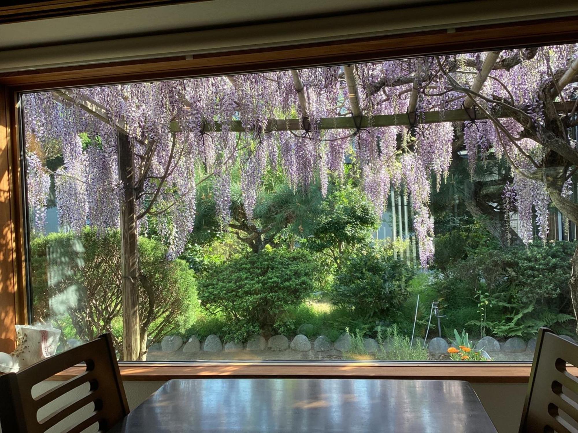 Guest House Ki-Zu - Vacation Stay 94978V Nishio Eksteriør billede